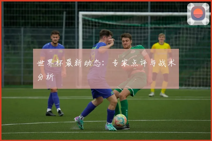 世界杯最新动态：专家点评与战术分析