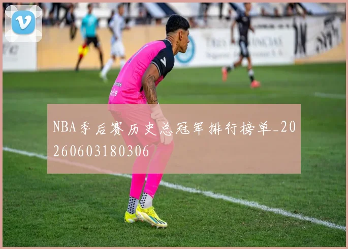 NBA季后赛历史总冠军排行榜单_20260603180306