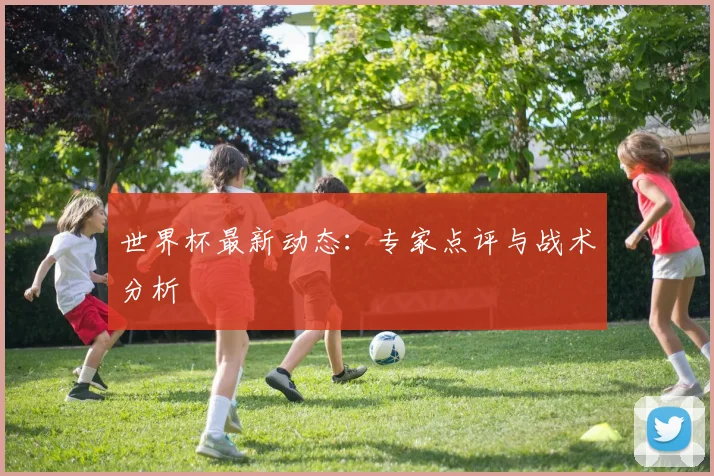 世界杯最新动态:专家点评与战术分析